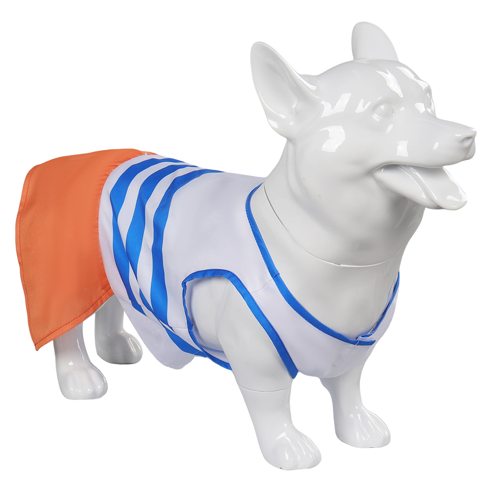 Nami Cosplay Traje para Cão, F - Live Action Anime Cosplay avaliação e preço